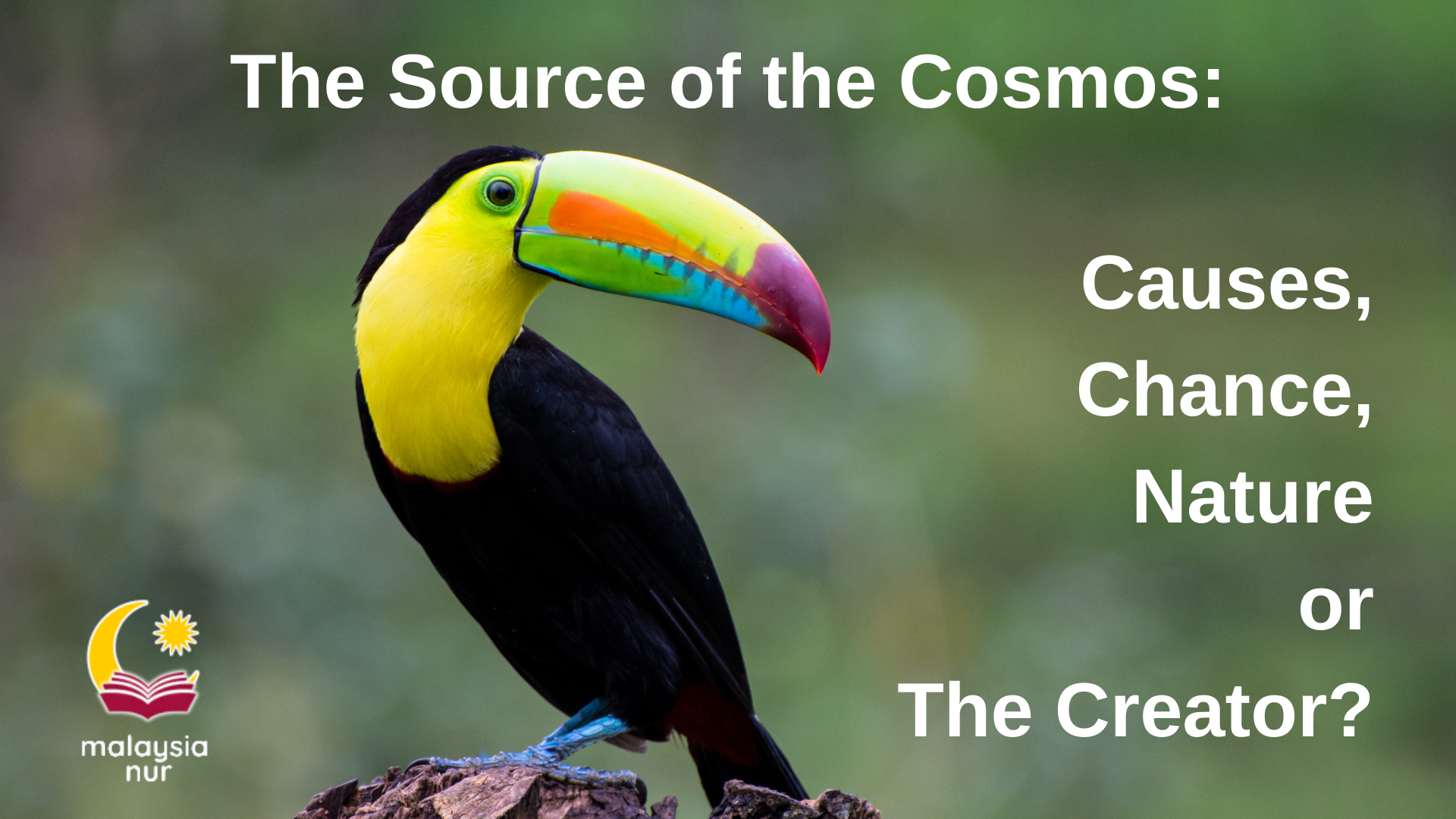 the source of the cosmos causes, chance, nature or the creator